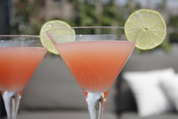 Pink Flamingo Fun and Fruity Martini Glass